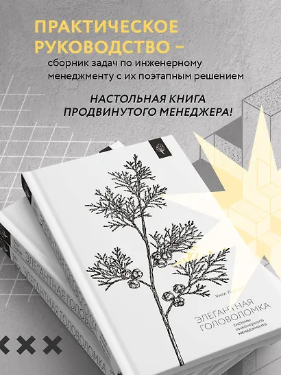 Элегантная головоломка. Системы инженерного менеджмента - фото 5