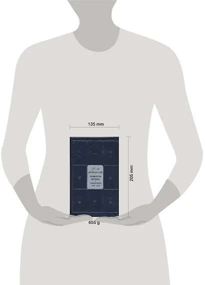 Белые ночи. Двойник. Произведения 1846-1850. Собрание сочинений в 9-ти т. Т.1 - фото 2