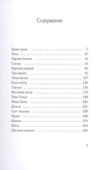 Пыль - фото 2