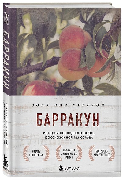 Барракун. История последнего раба, рассказанная им самим - фото 3