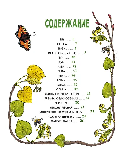 Деревья - фото 8