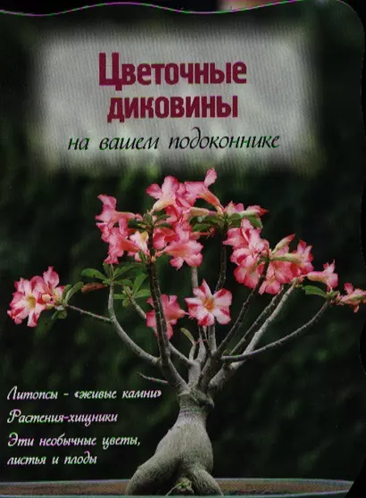 Цветочные диковины на вашем подоконнике (Вырубка. Цветы в саду и на окне) - фото 1