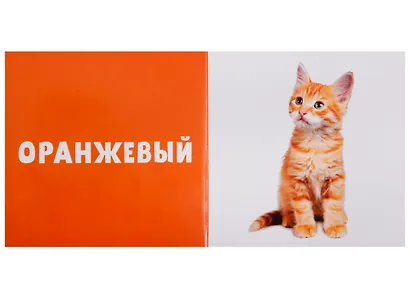Первые слова. Цвета. Фотокнига - фото 3
