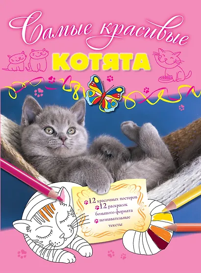 Котята - фото 1