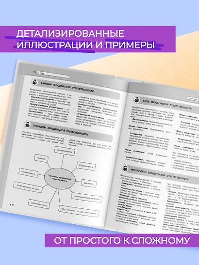 Подготовка к урокам, ОГЭ и ЕГЭ. Обществознание. Удобно и понятно - фото 4