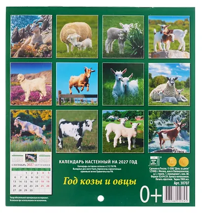Календарь 2027г 160*170 «Год козы и овцы»настенный, на скрепке - фото 2