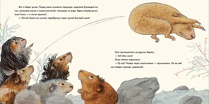 Лучше всех? - фото 5