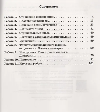 Математика. 6 класс. Подготовка к Всероссийским проверочным работам. - фото 2