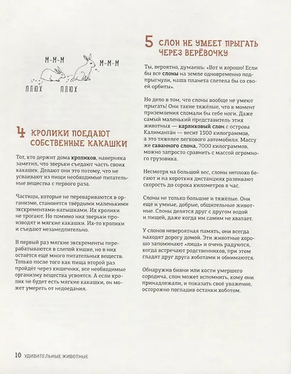 Может ли жираф облизать свои уши? И ещё 319 вопросов о мире вокруг - фото 4