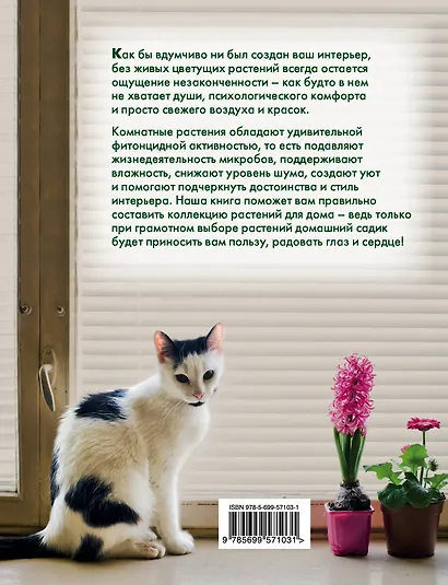 Красивый сад на вашем подоконнике - фото 2