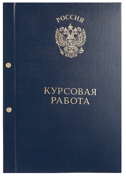 Обложка "Курсовая работа" ассорти, 2 отверстия, бумвинил - фото 5