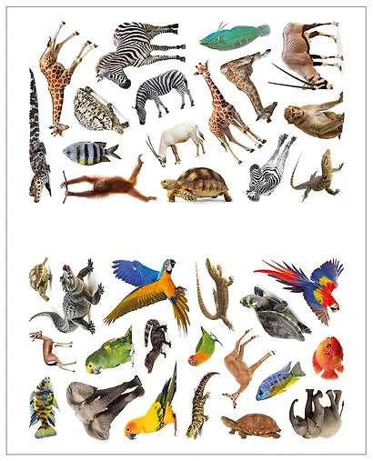 Фотонаклейки. В Африке - фото 4