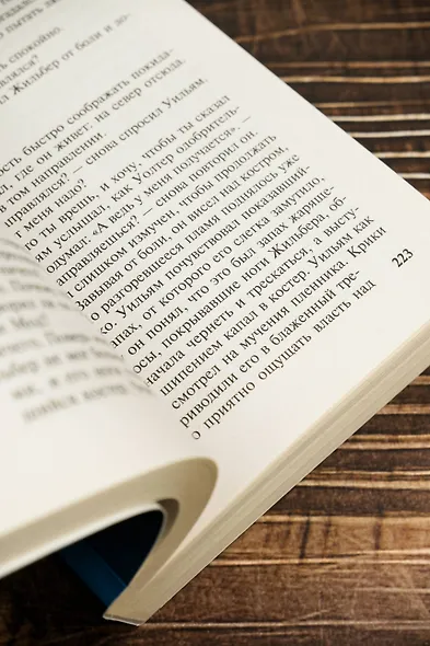 Столпы земли [В 2 т.] Том 1 - фото 8