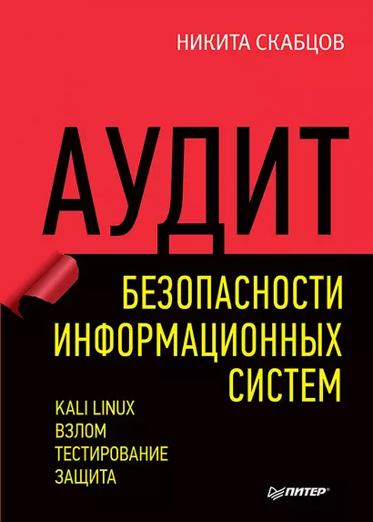 Аудит безопасности информационных систем - фото 1