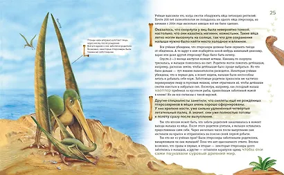 Крылатые, но не динозавры - фото 8