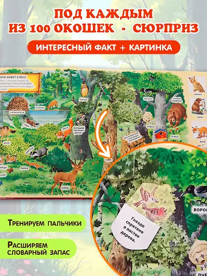 В лесу. Виммельбух - фото 5