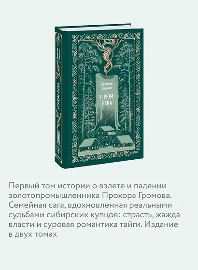 Угрюм-река. Том 1. Вечные истории - фото 5