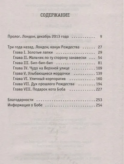 Подарок от кота Боба. Как уличный кот помог человеку полюбить Рождество - фото 2