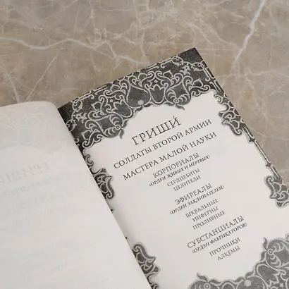 Король шрамов - фото 10