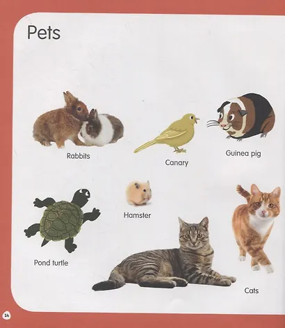 First Animals. Clever Encyclopedia. Over 500 Words To Learn - фото 4