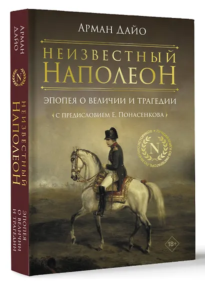 Неизвестный Наполеон. Эпопея о величии и трагедии - фото 2