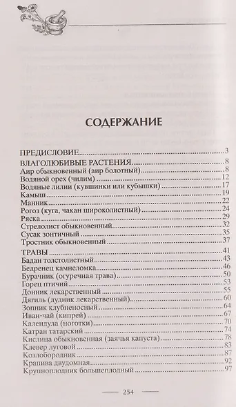 Блюда из дикорастущих растений. Неиссякаемый источник витаминов к вашему столу - фото 3