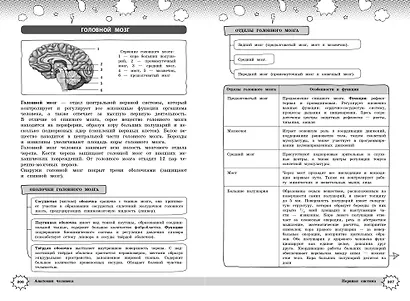 Биология - фото 11