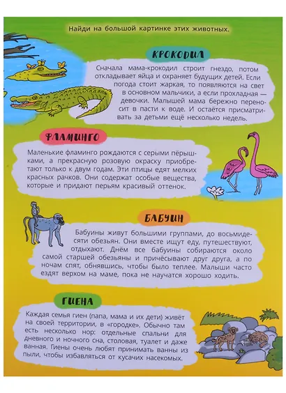 Книжка-панорамка "Жаркие страны" - фото 3