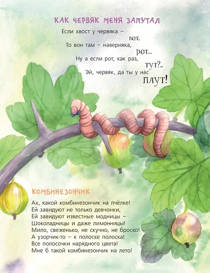 Огородная страна - фото 4