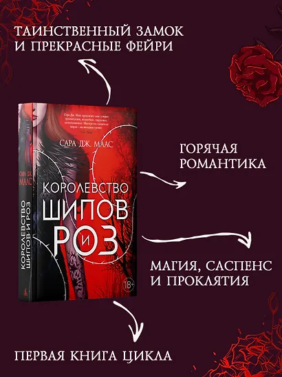 Королевство шипов и роз - фото 5