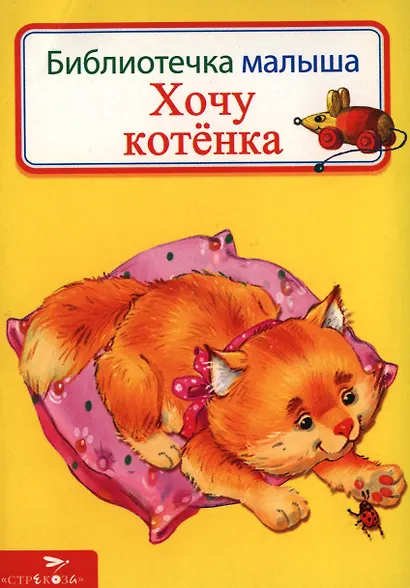 Хочу котенка - фото 1