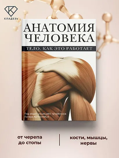 Атлас анатомии Абрахамса - фото 4