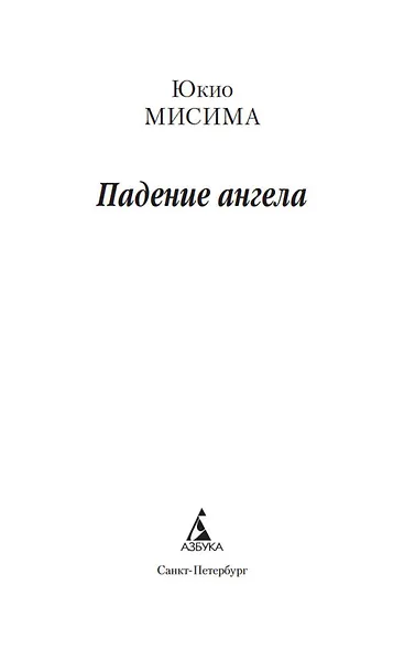 Падение ангела - фото 4