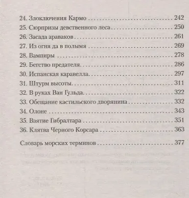 Черный Корсар - фото 4