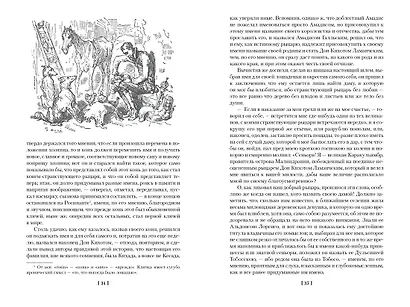 Хитроумный идальго Дон Кихот Ламанчский - фото 10