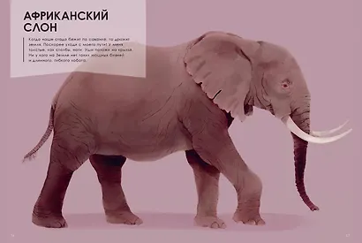 Животные-гиганты - фото 4