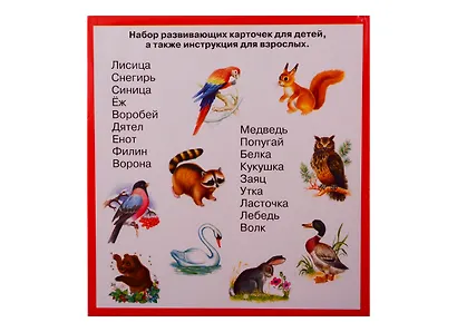 Животные и птицы. Карточки - фото 2
