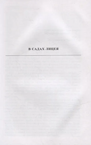 Жизнь Пушкина: В садах Лицея. На брегах Невы - фото 4