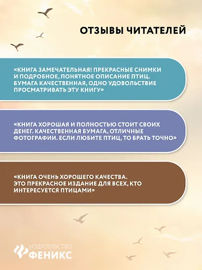 Птицы Европейской части России: фотоопределитель - фото 9