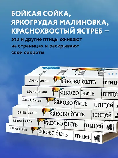 Каково быть птицей: о полетах и гнездовании, кормлении и пении. Как и чем живут самые известные птицы на земле - фото 10