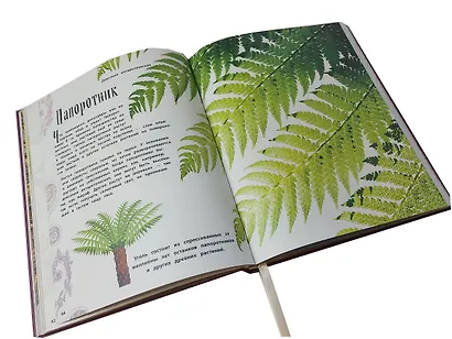 Чудеса природы. Энциклопедия - фото 7