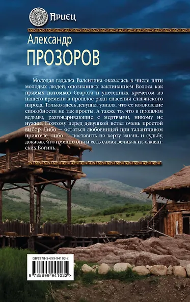 Ариец. Книга третья. Хозяйка Валгаллы - фото 2