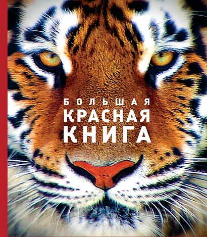 Большая красная книга (стерео-варио) - фото 1