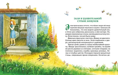 Волшебник Изумрудного города - фото 14