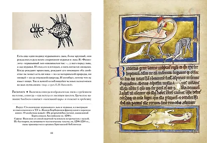 Книга Единорогов. Волшебный путеводитель по страницам фолиантов, глубинам тайных знаний и вершинам изящных искусств - фото 8