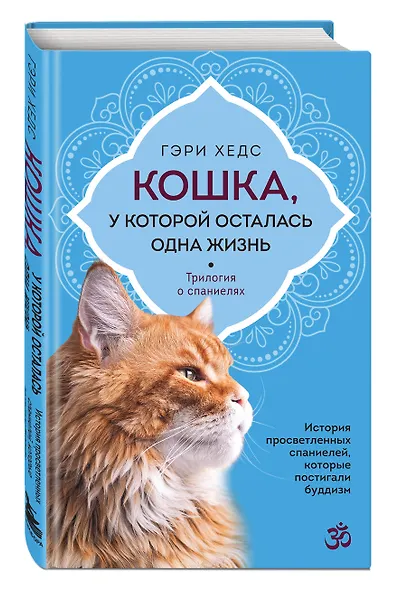 Кошка, у которой осталась одна жизнь - фото 3