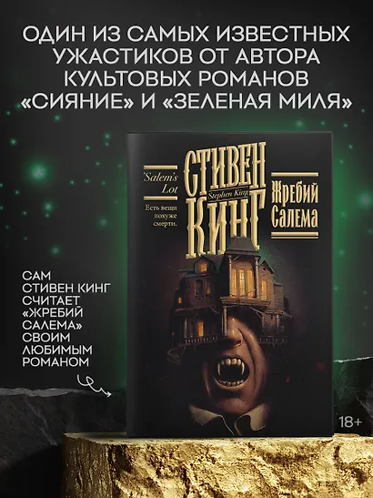 Жребий Салема - фото 4