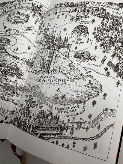 Гарри Поттер и Орден Феникса (Гриффиндор) - фото 7