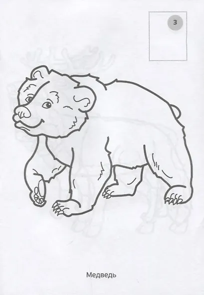 Лесные животные. (наклей и раскрась малый формат). - фото 3