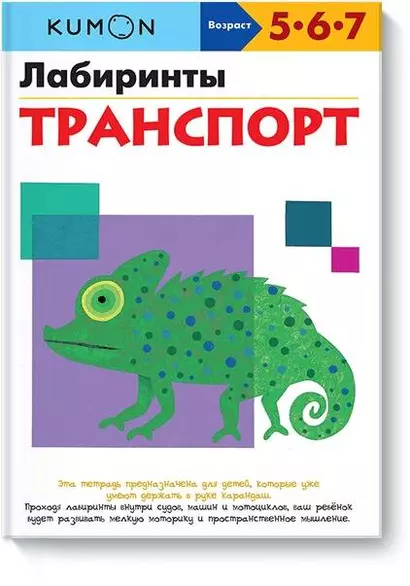 Лабиринты. Транспорт - фото 1